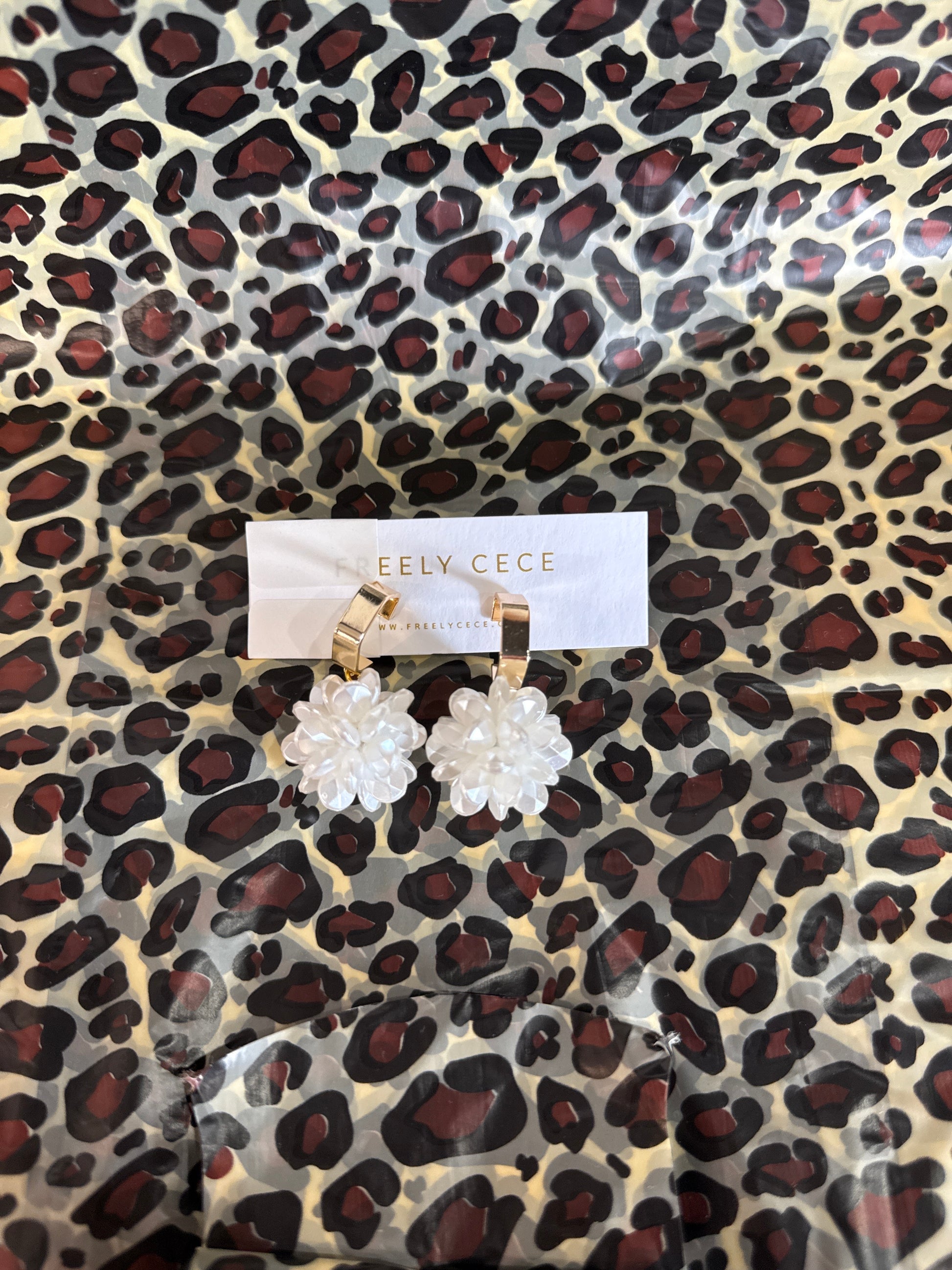 Earrings #29