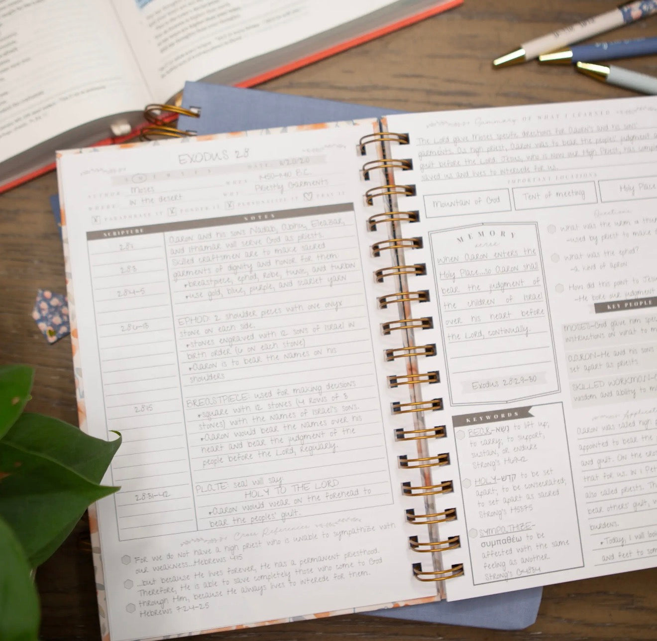 Behold Verse Mapping Bible Study Journal